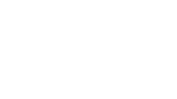 Partner 5