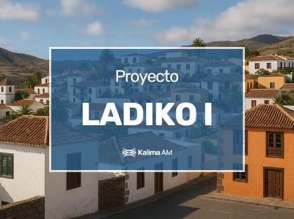 Proyecto Ladiko I